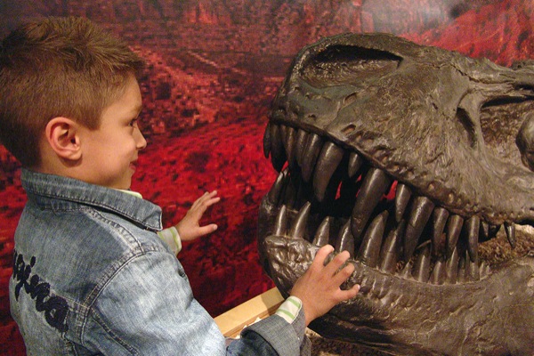 Dino's in het Museon, ook leuk met warm weer