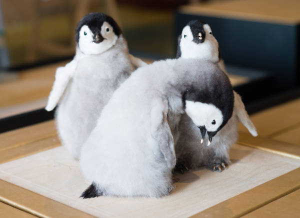 Babydieren Pinguïns