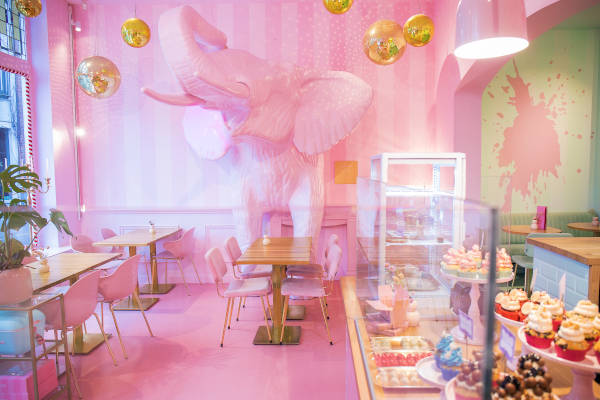The Cake Room Breda: Roze olifant tegen de muur