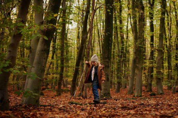 Kind is aan het spelen in het bos