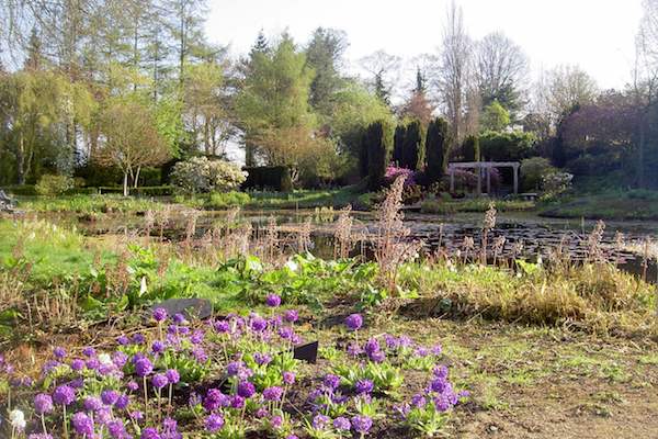 Kijk je ogen uit in deze schitterende botanische vijvertuin