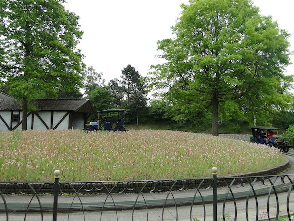 De Oude tuffers rijden nog als nieuw in de Efteling