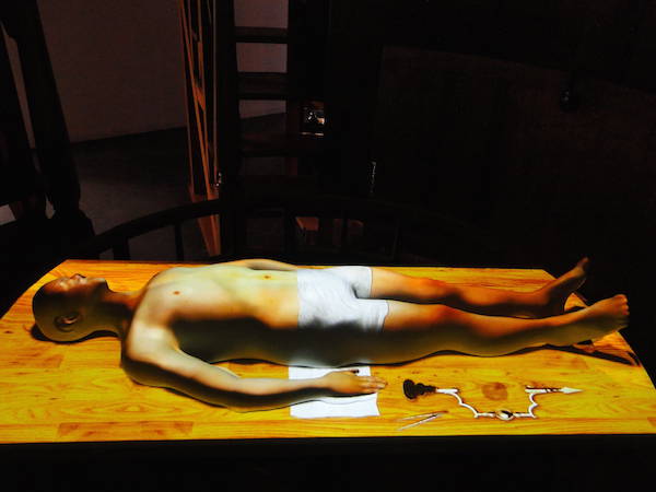 Projectie in Anatomisch Theater