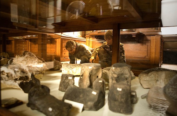 Teylers Museum: Fossielen zaal