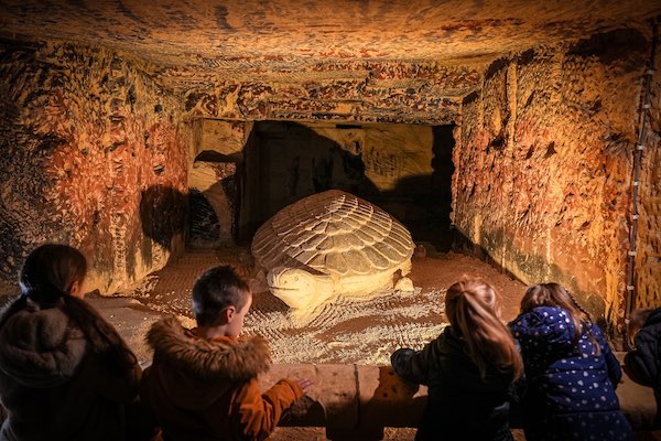 Zandsculptuur schildpad