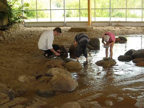 Schatten zoeken in het water