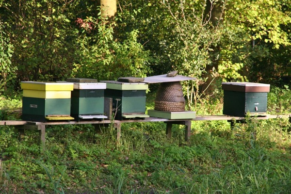 Kinderboerderij Leiderdorp: Bijenkorfen