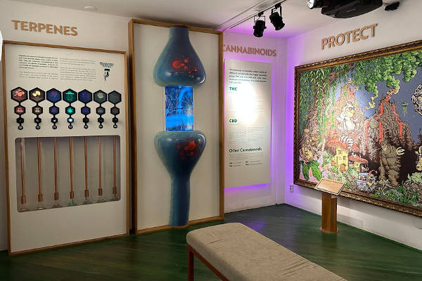 Terpenes
