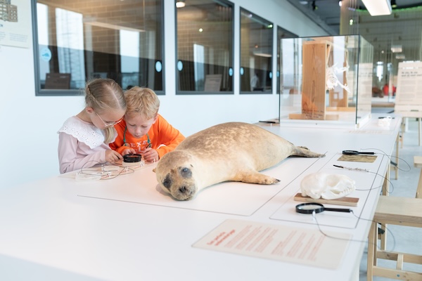 Kinderen leren over zeehonden
