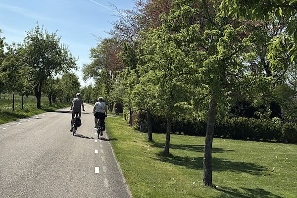 Fietsen door de groene omgeving