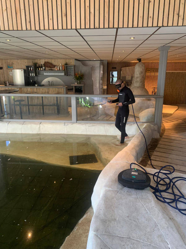 Het water in gaan