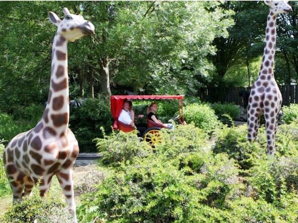 Er zijn zelfs dieren te vinden in het park!