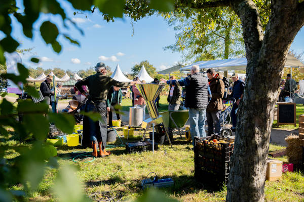De Tuinen van Frederiksoord in Frederiksoord 