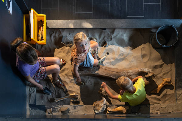 Kinderen in het zand