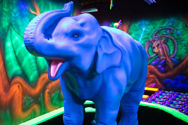 Olifant