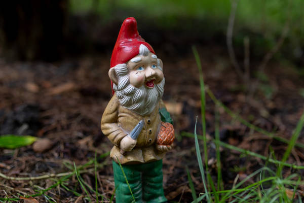 Kabouter in het bos