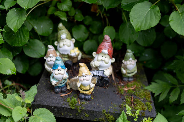 Het Beemster Kabouterpad: Kabouters op een steen