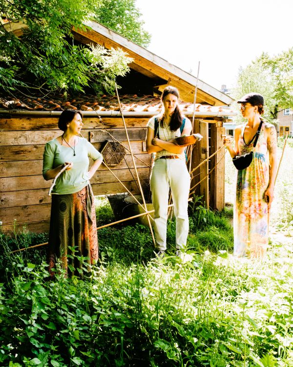 Uitleg wildplukwandeling