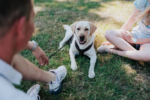 Honden zijn toegestaan