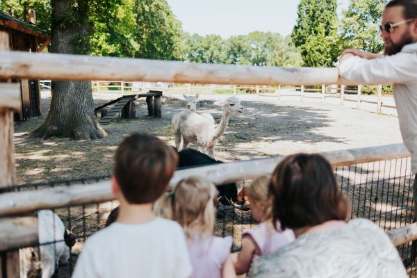Kinderboerderij