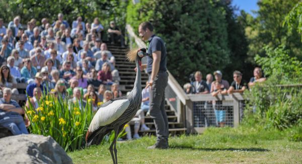 Vogelpark Avifauna in Alphen aan den Rijn