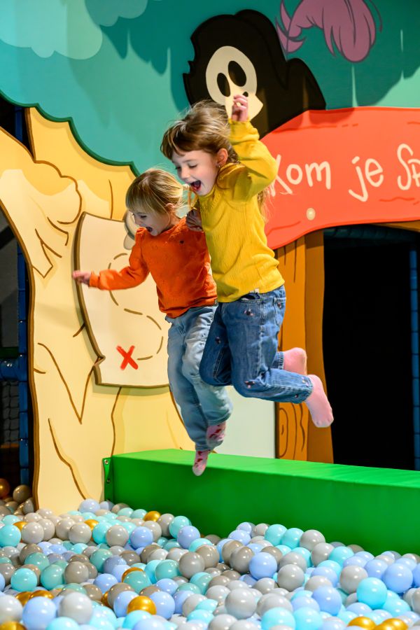 Kinderen springen in de ballenbak