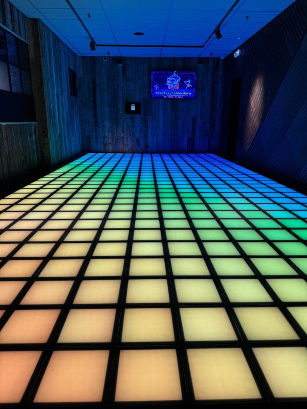 Franky's Delft: Pixelvloer