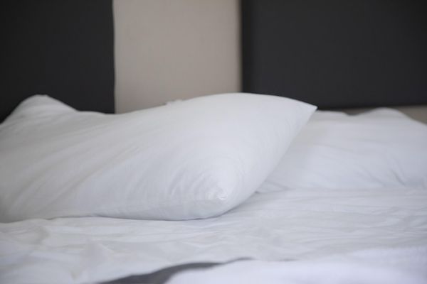Dagje uit Summio Vakantiepark Schaijk