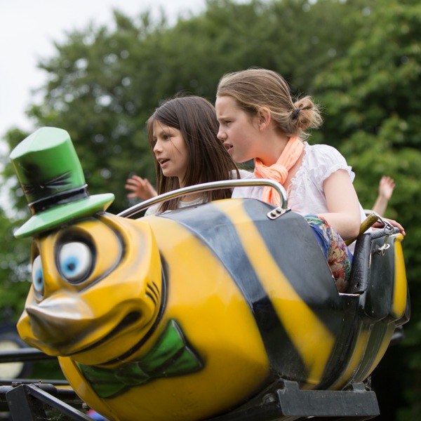 Speelpark Oud Valkeveen: Draaierig in de bijen