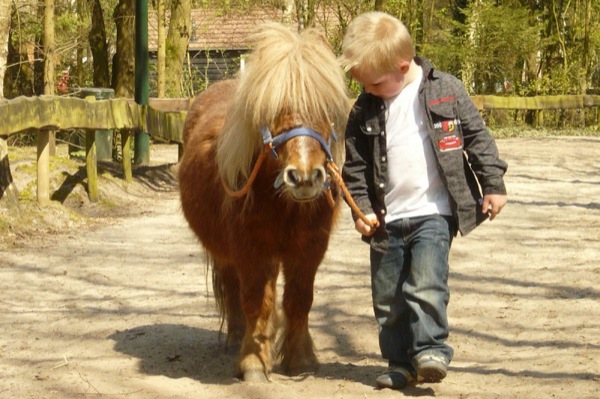 PonyparkCity : Gezellig aan de wandel met je eigen Pony