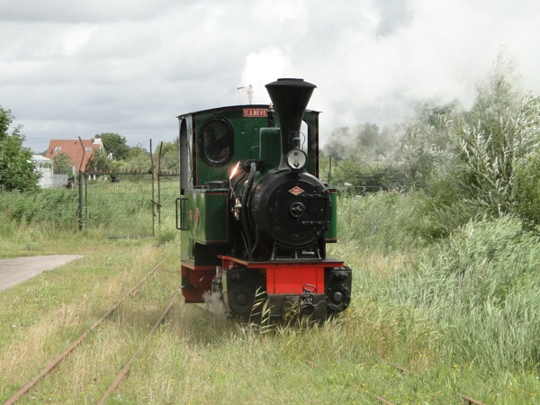 Rijdende Stoomtrein