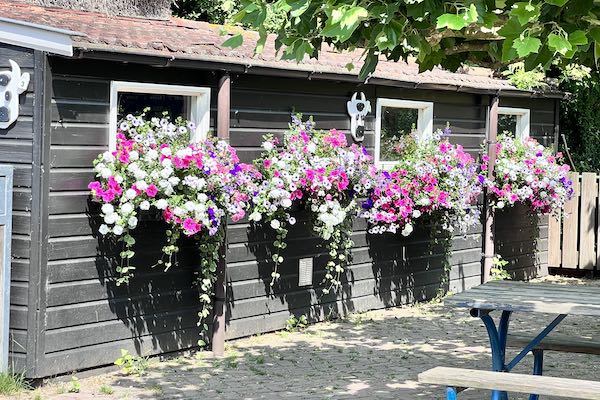 Speelboerderij in bloei