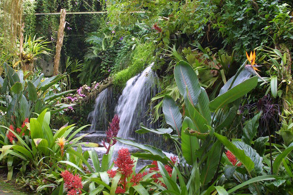 Orchideeën hoeve tropisch park