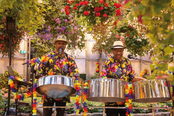 Magic Jungle Festival Caribische livemuziek