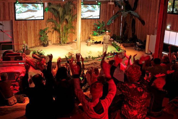 Geniet van een spectaculaire show in het Jungletheater