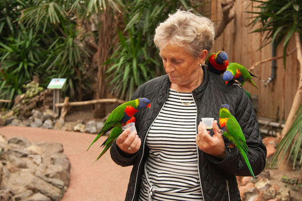 Een unieke beleving die je niet snel zult vergeten