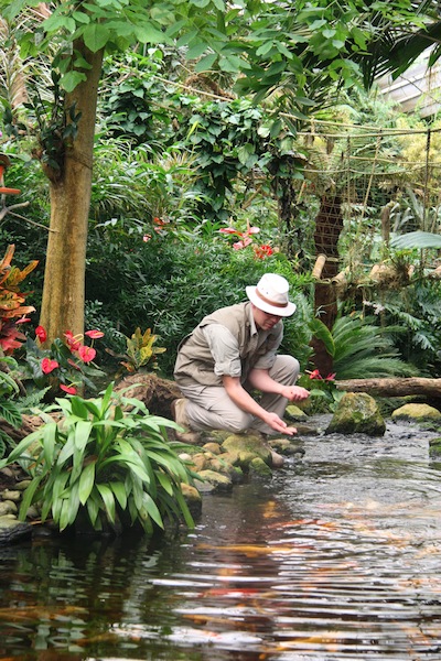 De prachtige Maleisische tuin