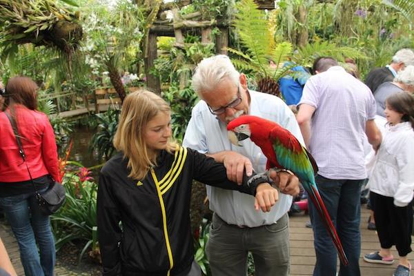 Papegaaiendag in de orchideeën Hoeve Met een Papegaai op de hand