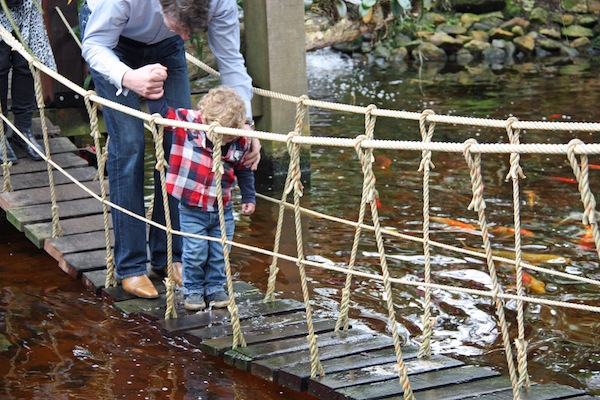 Samen met papa over de spannende schommelbrug bij de Orchideeën Hoeve