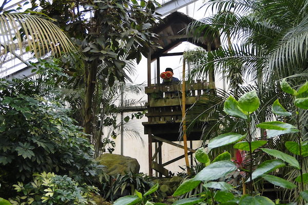 Kijk uit over de jungle van de Orchideeën Hoeve