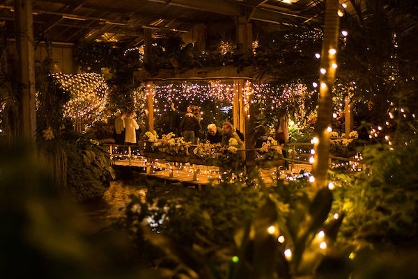 Orchideeën Hoeve prachtig verlicht tijdens de kerstdagen