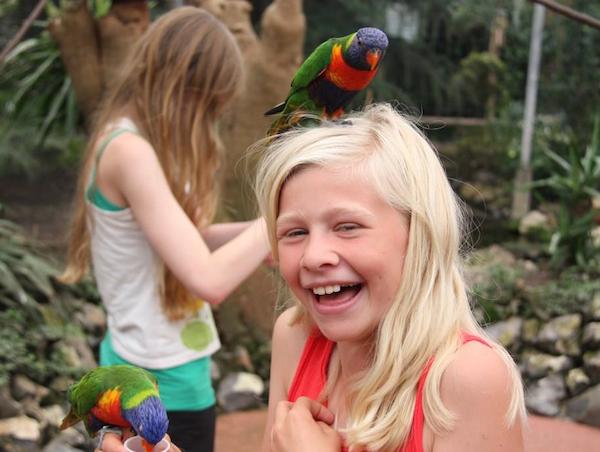 Vogels op je hoofd in de Lorituin