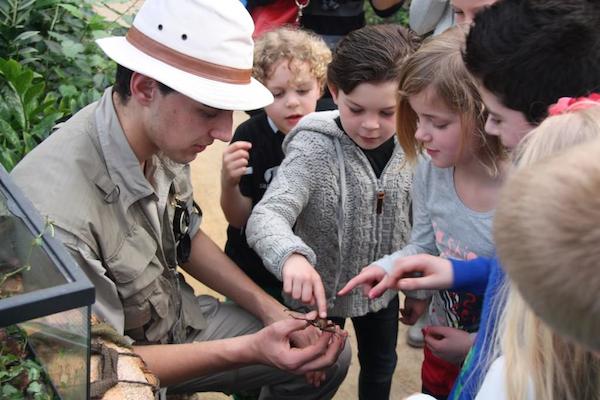 Leuke meivakantie activiteiten in de Orchideeën Hoeve