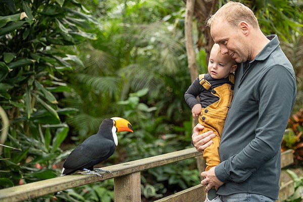 Pantropica (voorheen Orchideeën Hoeve): Vader en zoon