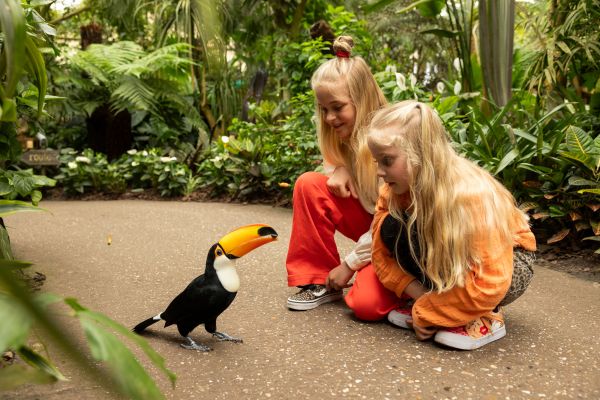 Stap deze meivakantie in een lentedroom bij Pantropica