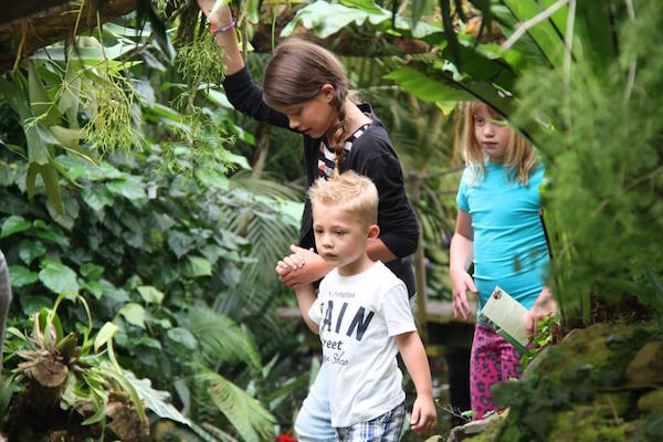 Vlindertuin Orchideeën Hoeve nog leuker voor kinderen