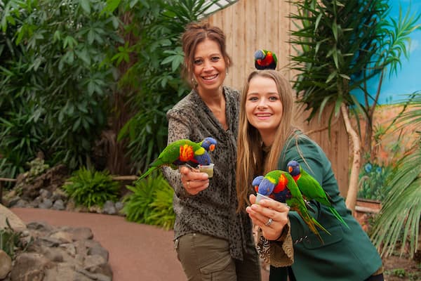 Pantropica (voorheen Orchideeën Hoeve): Selfie met de Lori's