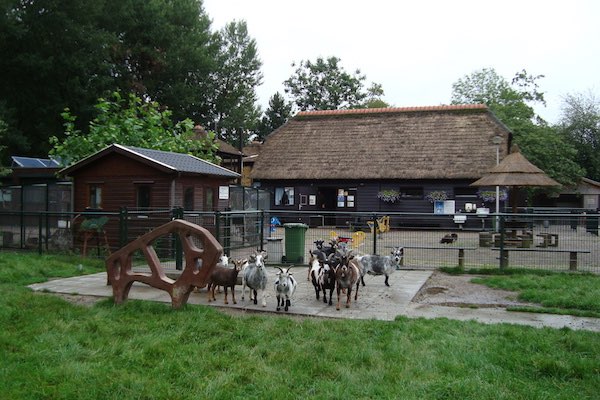 Kinderboerderij De Dierenhof in Ridderkerk