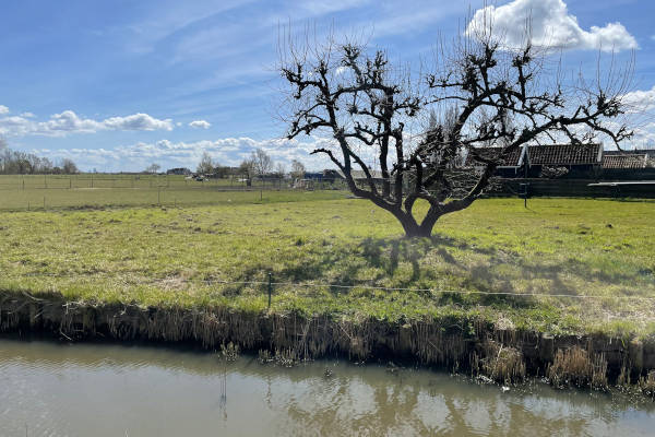 Een weiland in Marken