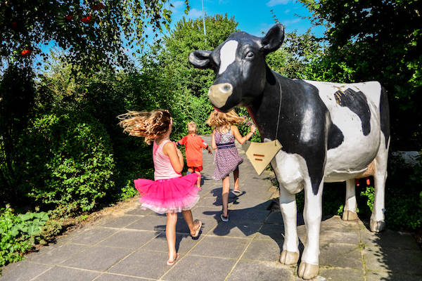 Speelboerderij De Drentse Koe: Een hele dag speelplezier